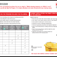 WALLCHART - BIG 5 HOUSEKEEPING